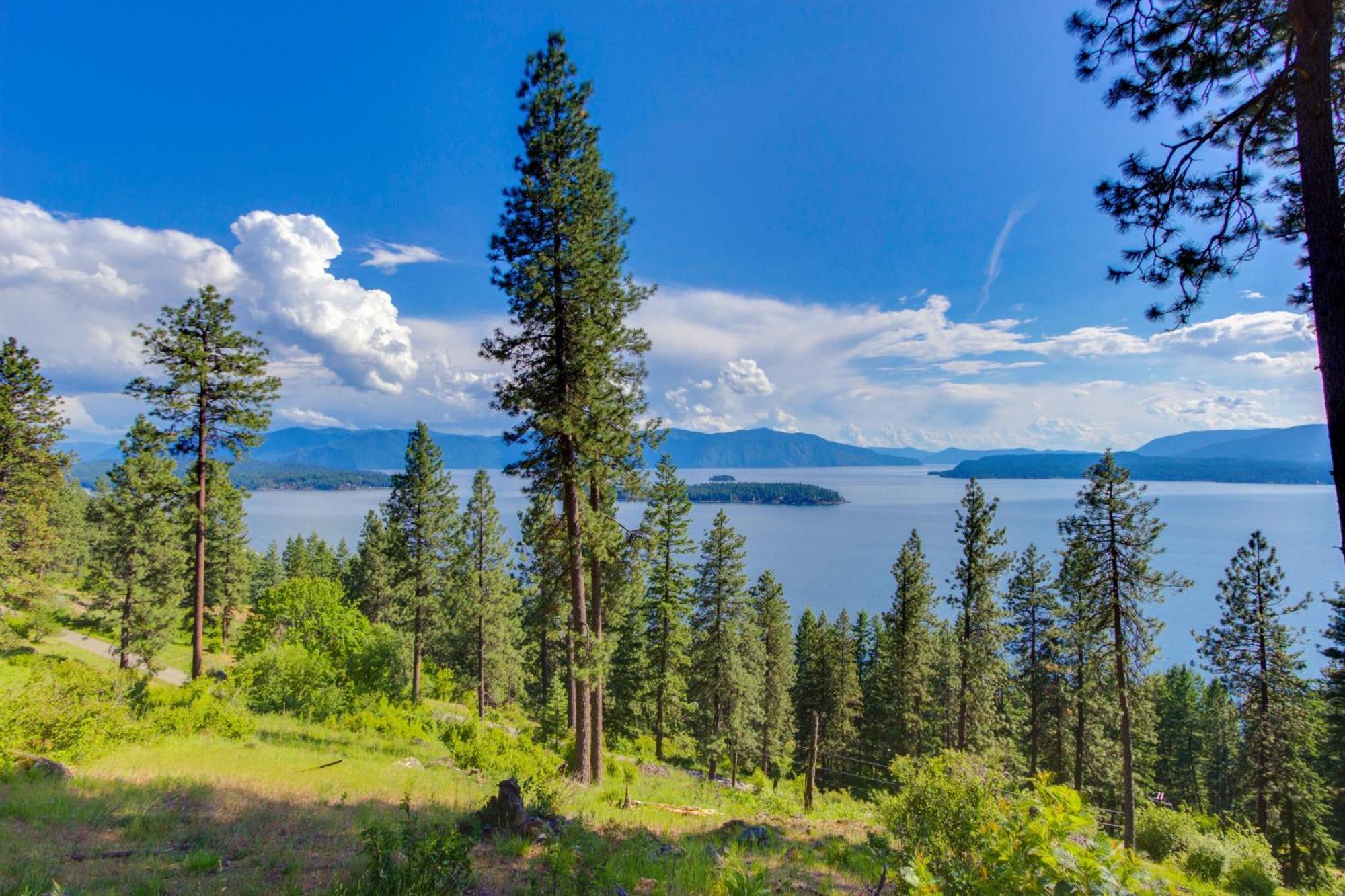Cozy One Bedroom With Privacy - Community Beach Access Sandpoint Exterior photo